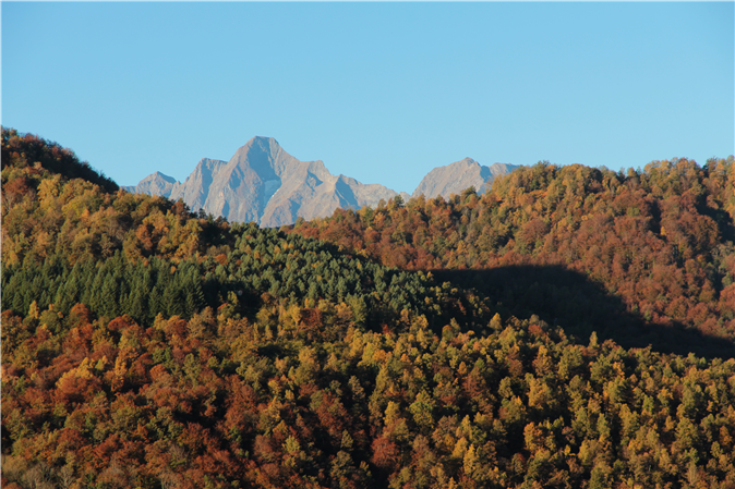 Autumn colors behind the house 