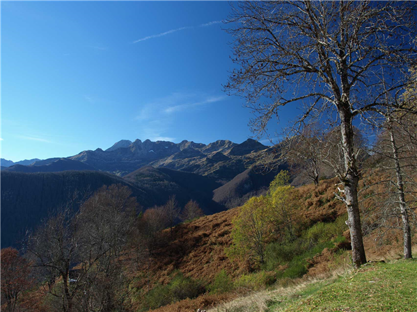 Les alentours de la maison