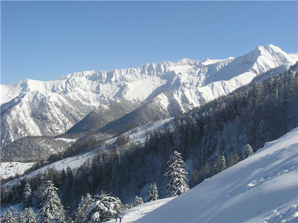 Les alentours de la maison
