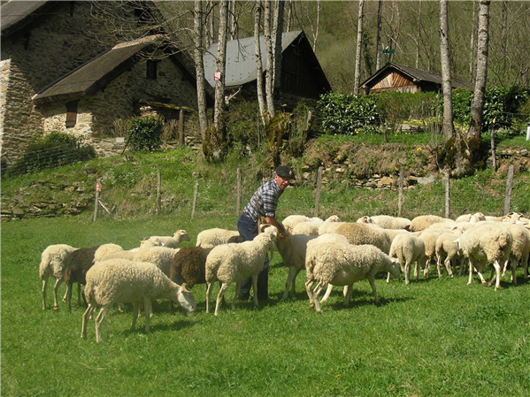 Les alentours de la maison